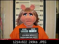 Der SGS3 Stammtischthread-miss-piggy-mugshot-41323.jpg
