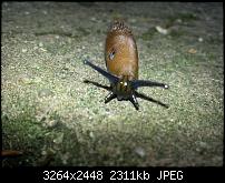 Kamera (Video- und Fotoqualität) vom Galaxy S III-20120710_085129.jpg