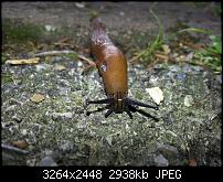 Kamera (Video- und Fotoqualität) vom Galaxy S III-20120710_085215.jpg