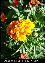 Kamera (Video- und Fotoqualität) vom Galaxy S III-20120714_192108.jpg