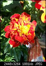 Kamera (Video- und Fotoqualität) vom Galaxy S III-20120714_192146.jpg