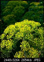 Kamera (Video- und Fotoqualität) vom Galaxy S III-20120714_192950.jpg