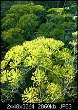 Kamera (Video- und Fotoqualität) vom Galaxy S III-20120714_193000.jpg