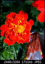 Kamera (Video- und Fotoqualität) vom Galaxy S III-20120714_193120.jpg