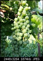 Kamera (Video- und Fotoqualität) vom Galaxy S III-20120714_193302.jpg