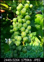 Kamera (Video- und Fotoqualität) vom Galaxy S III-20120714_193320.jpg