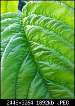 Kamera (Video- und Fotoqualität) vom Galaxy S III-20120714_193442.jpg