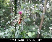 Kamera (Video- und Fotoqualität) vom Galaxy S III-20120716_123540.jpg