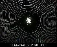 Kamera (Video- und Fotoqualität) vom Galaxy S III-20120723_224747.jpg