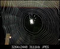 Kamera (Video- und Fotoqualität) vom Galaxy S III-20120723_224844.jpg