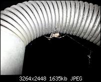 Kamera (Video- und Fotoqualität) vom Galaxy S III-20120723_224910.jpg