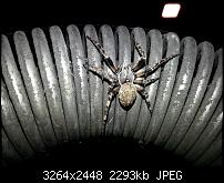 Kamera (Video- und Fotoqualität) vom Galaxy S III-20120723_225006.jpg