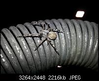 Kamera (Video- und Fotoqualität) vom Galaxy S III-20120723_225020.jpg