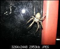 Kamera (Video- und Fotoqualität) vom Galaxy S III-20120724_223032.jpg