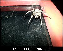 Kamera (Video- und Fotoqualität) vom Galaxy S III-20120724_223123.jpg