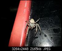 Kamera (Video- und Fotoqualität) vom Galaxy S III-20120724_223421.jpg