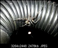 Kamera (Video- und Fotoqualität) vom Galaxy S III-20120724_222842.jpg