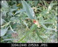 Kamera (Video- und Fotoqualität) vom Galaxy S III-20120727_162256.jpg