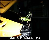 Kamera (Video- und Fotoqualität) vom Galaxy S III-20120729_104155.jpg