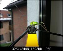 Kamera (Video- und Fotoqualität) vom Galaxy S III-20120729_105427.jpg