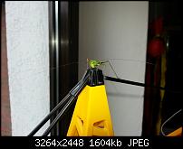 Kamera (Video- und Fotoqualität) vom Galaxy S III-20120729_105554.jpg