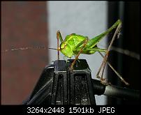 Kamera (Video- und Fotoqualität) vom Galaxy S III-20120729_105817.jpg