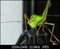 Kamera (Video- und Fotoqualität) vom Galaxy S III-20120729_105843.jpg