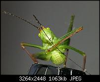 Kamera (Video- und Fotoqualität) vom Galaxy S III-20120729_105944.jpg