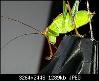 Kamera (Video- und Fotoqualität) vom Galaxy S III-20120729_110248.jpg