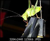 Kamera (Video- und Fotoqualität) vom Galaxy S III-20120729_110255.jpg