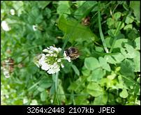 Kamera (Video- und Fotoqualität) vom Galaxy S III-20120729_143314.jpg