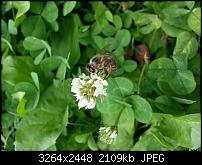 Kamera (Video- und Fotoqualität) vom Galaxy S III-20120729_143525.jpg