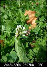 Kamera (Video- und Fotoqualität) vom Galaxy S III-20120729_143414.jpg