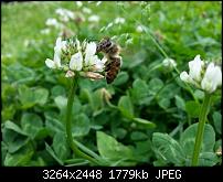 Kamera (Video- und Fotoqualität) vom Galaxy S III-20120729_143816.jpg