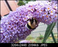 Kamera (Video- und Fotoqualität) vom Galaxy S III-20120729_151526.jpg