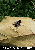 Kamera (Video- und Fotoqualität) vom Galaxy S III-20120729_145006.jpg