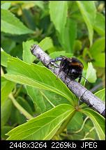 Kamera (Video- und Fotoqualität) vom Galaxy S III-20120729_141947.jpg