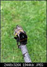 Kamera (Video- und Fotoqualität) vom Galaxy S III-20120729_141925.jpg