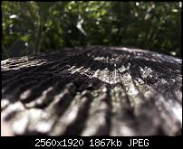 Kamera (Video- und Fotoqualität) vom Galaxy S III-2012-08-04-15.52.56.jpg