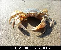 Kamera (Video- und Fotoqualität) vom Galaxy S III-20120810_174613.jpg