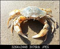 Kamera (Video- und Fotoqualität) vom Galaxy S III-20120810_174619.jpg