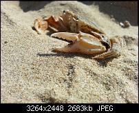 Kamera (Video- und Fotoqualität) vom Galaxy S III-20120810_175238.jpg