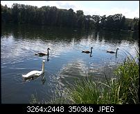 Kamera (Video- und Fotoqualität) vom Galaxy S III-2012-08-11-15.23.00.jpg
