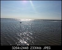 Kamera (Video- und Fotoqualität) vom Galaxy S III-20120810_173830.jpg