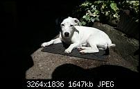 Kamera (Video- und Fotoqualität) vom Galaxy S III-20120813_132220.jpg