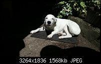 Kamera (Video- und Fotoqualität) vom Galaxy S III-20120813_132221.jpg