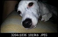 Kamera (Video- und Fotoqualität) vom Galaxy S III-20120820_082152.jpg