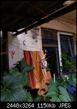 Kamera (Video- und Fotoqualität) vom Galaxy S III-20120820_190243.jpg