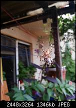 Kamera (Video- und Fotoqualität) vom Galaxy S III-20120820_190322.jpg