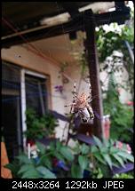 Kamera (Video- und Fotoqualität) vom Galaxy S III-20120820_190342.jpg